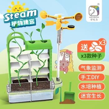 植物迷宫儿童玩具学生科学实验手工diy生物种植种子材料包